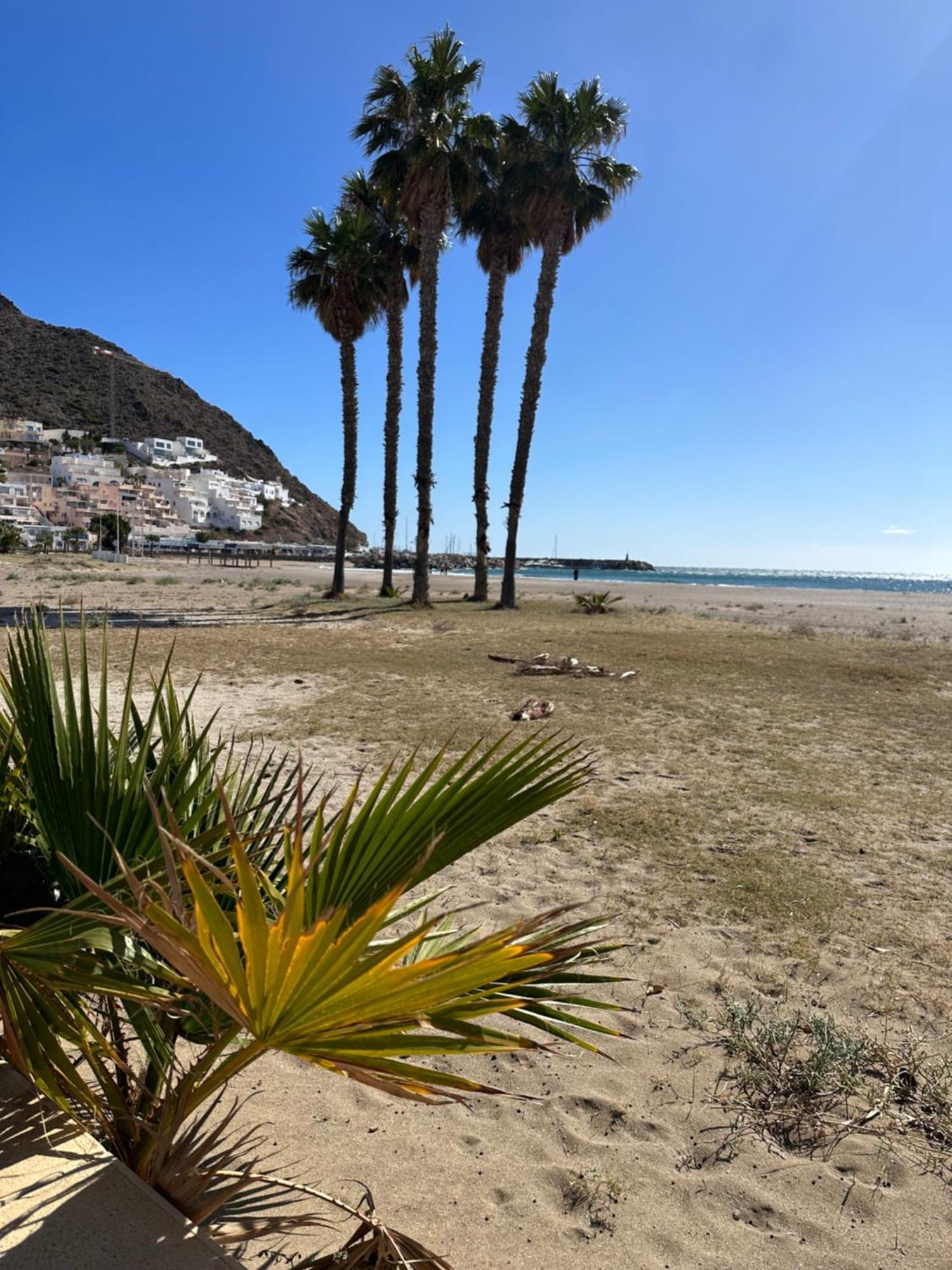 Tu Casita En Con Acceso Directo A Playa Apartment *